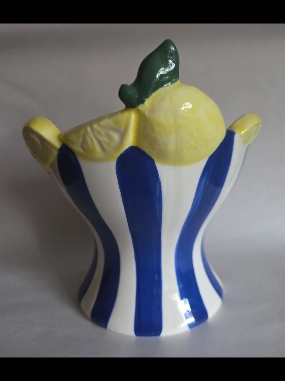 Luna & Sage cat food bowl. Hand-Painted Blue & White Striped Lemon Ceramic